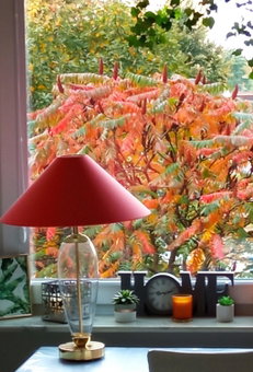 Apartament Bonito, Radom, Poland