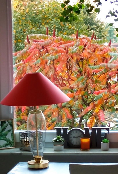 Apartament Bonito, Radom, Poland