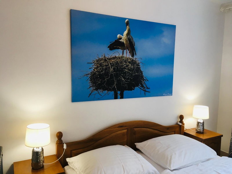 Apartament Gęsie Piórko, Jastrzębia Góra, Poland