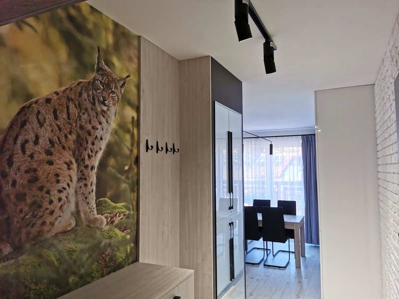 Apartament Ryś, Szklarska Poręba, Poland