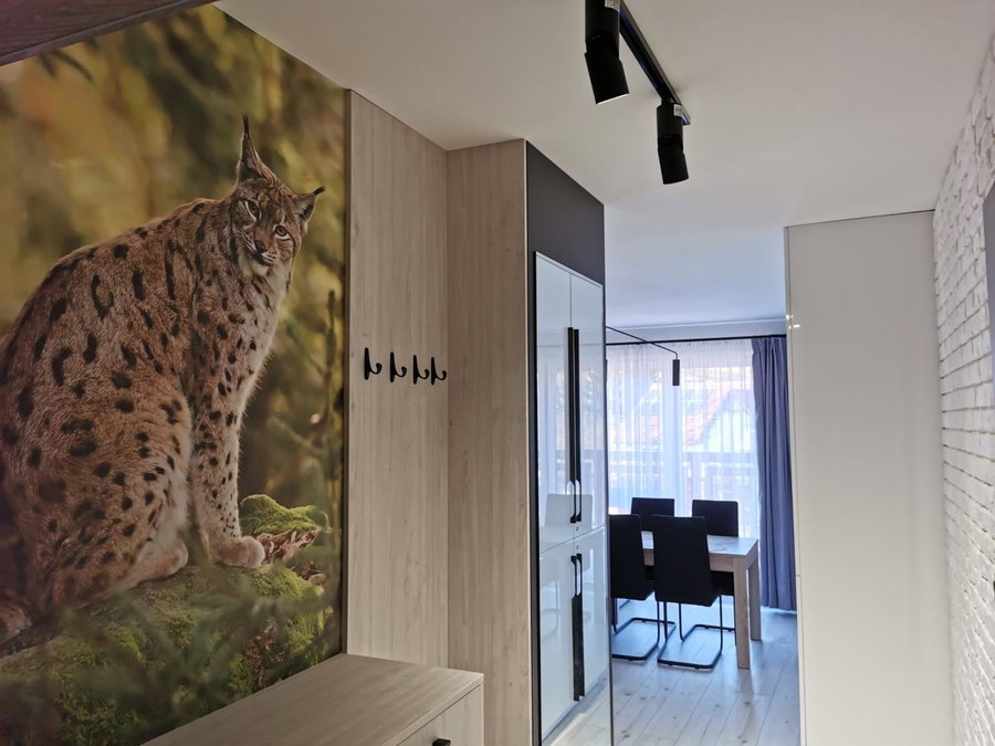 Apartament Ryś, Szklarska Poręba, Poland