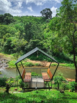 Rill woods, Vythiri, India
