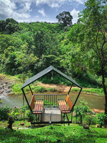 Rill woods, Vythiri, India