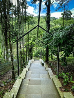Rill woods, Vythiri, India