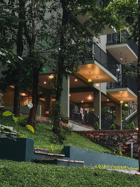 Rill woods, Vythiri, India