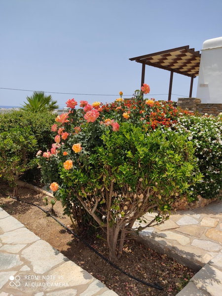 Aigaio Studios tinos, Tinos Town, Greece