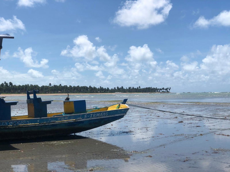 Le Petit Suítes Praia de Lages, Pôrto de Pedras, Brazil