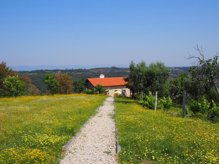 Quinta Vale Porcacho, Tábua, Portugal