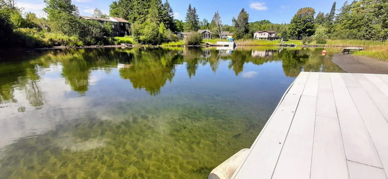 Beautiful 3 Bdrm + Bunkie Waterfront Cottage Near Gull Lake, Minden, Canada