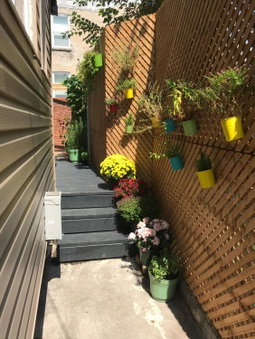 Love-nest With Private Hot Tub, Toronto, Canada