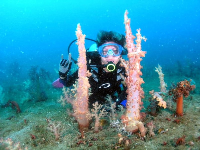 Bentrina Diving Resort, Mabini, Philippines