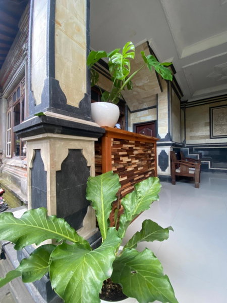 Kawi Homestay Sidemen, Sidemen, Indonesia