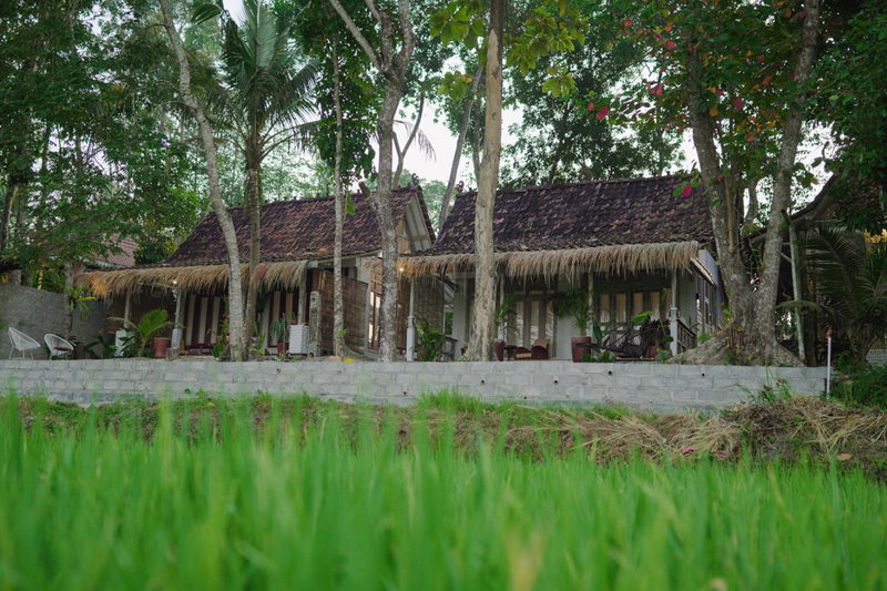 Villa Sare - House with panorama rice field view, Yogyakarta, Indonesia