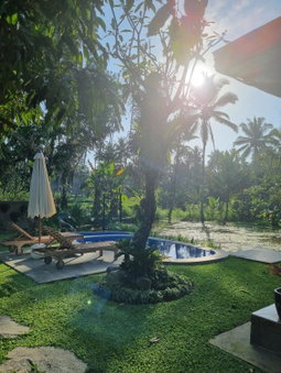 D'Pondok Sangaji Ricefield View by EPS, Penginyahan, Indonesia