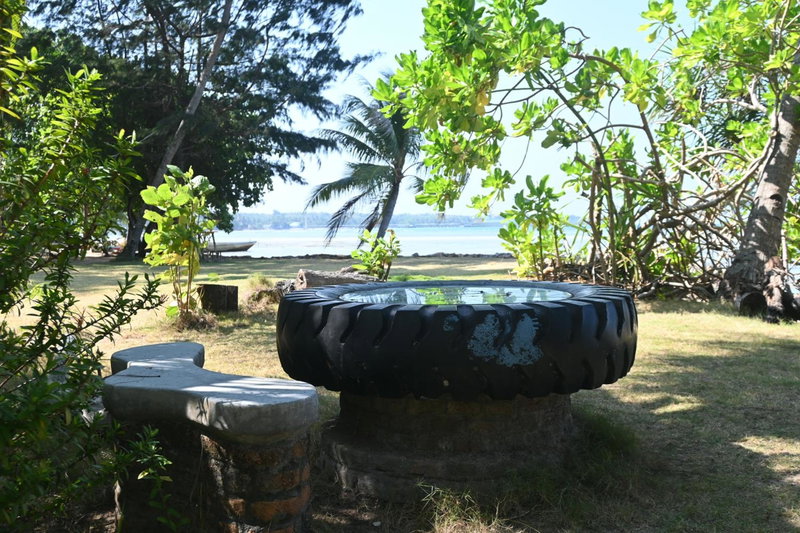 Bunga Jabe, Karimunjawa, Indonesia