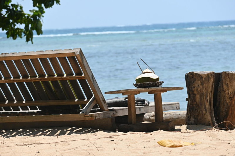 Bunga Jabe, Karimunjawa, Indonesia