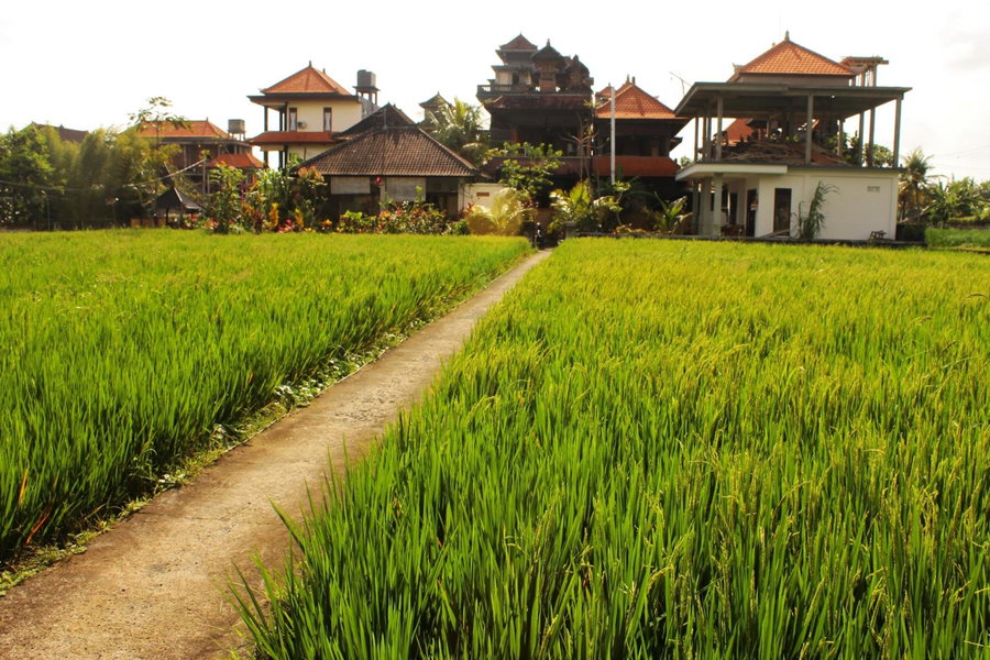 Cenik House Ubud, Ubud, Indonesia
