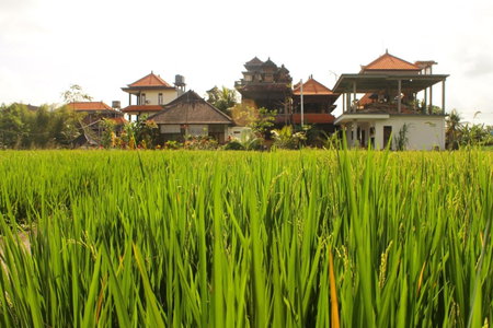 Cenik House Ubud, Ubud, Indonesia
