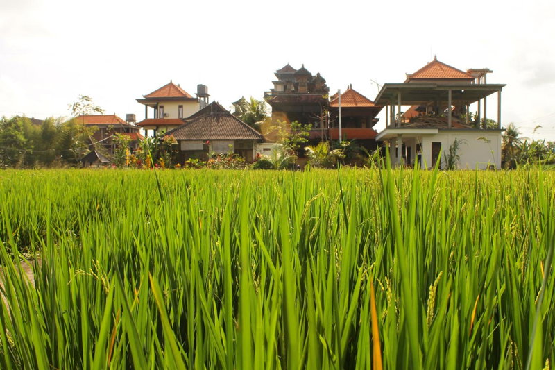 Cenik House Ubud, Ubud, Indonesia