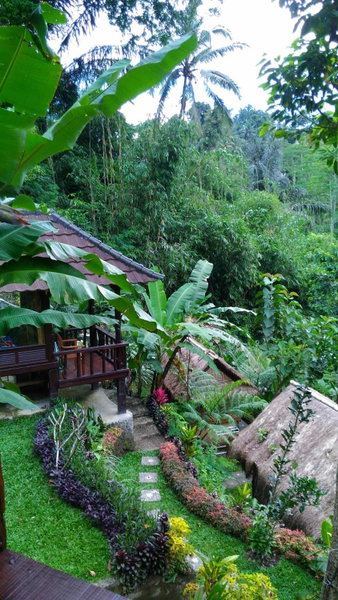 Bali Jungle Resort, Tegalalang, Indonesia