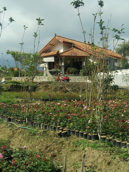Shanty's House, Batu, Indonesia