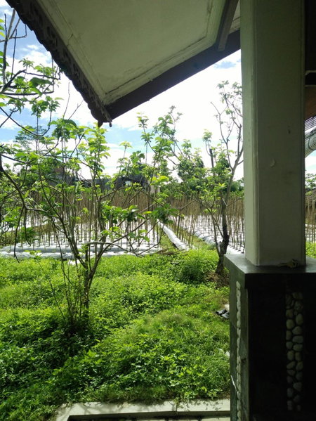 Shanty's House, Batu, Indonesia