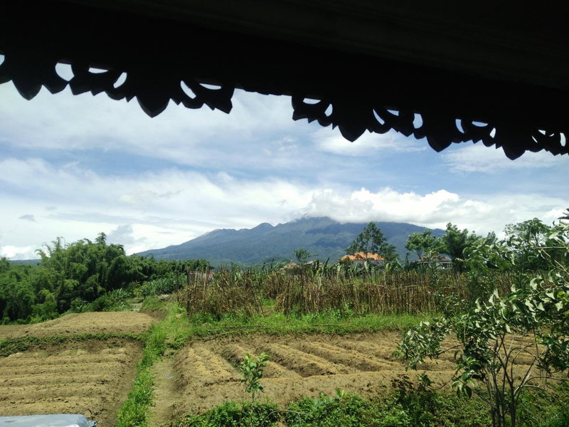 Shanty's House, Batu, Indonesia