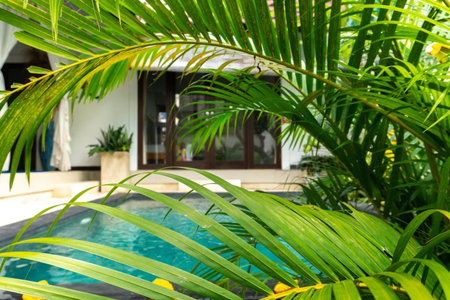 Wyanna Villa LEGIAN, Legian, Indonesia