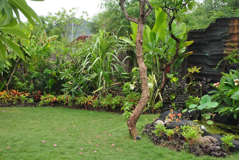 Trijaya Guest House, Pemuteran, Indonesia