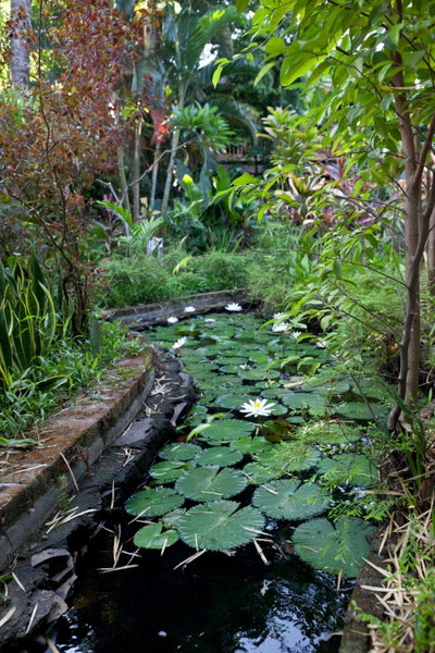 Rumah Kita, Lovina, Indonesia