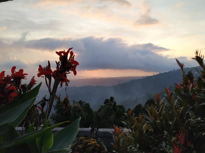 Puri Sunset Homestay, Munduk, Indonesia