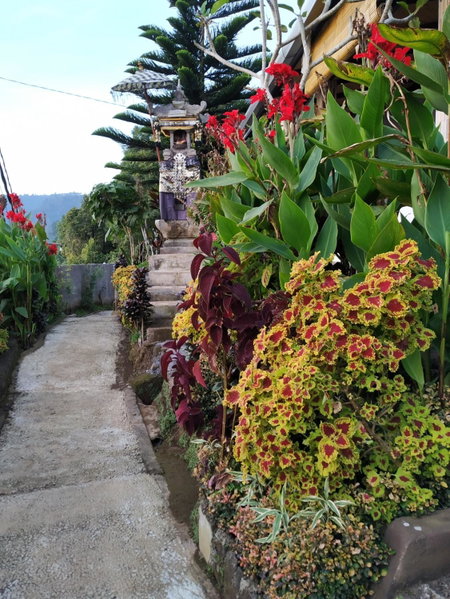 Puri Sunset Homestay, Munduk, Indonesia