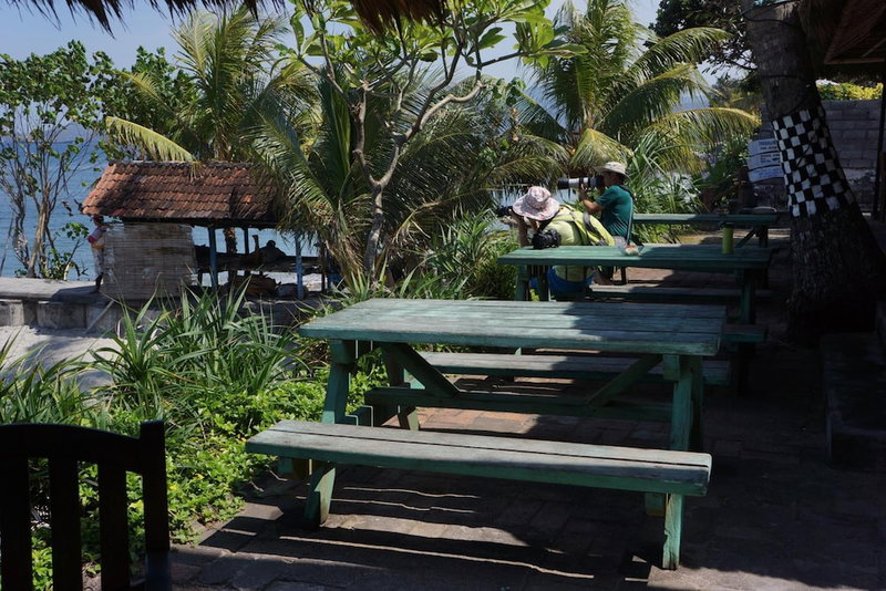 Puri Pandan Restaurant & Bungalows, Karangasem, Indonesia