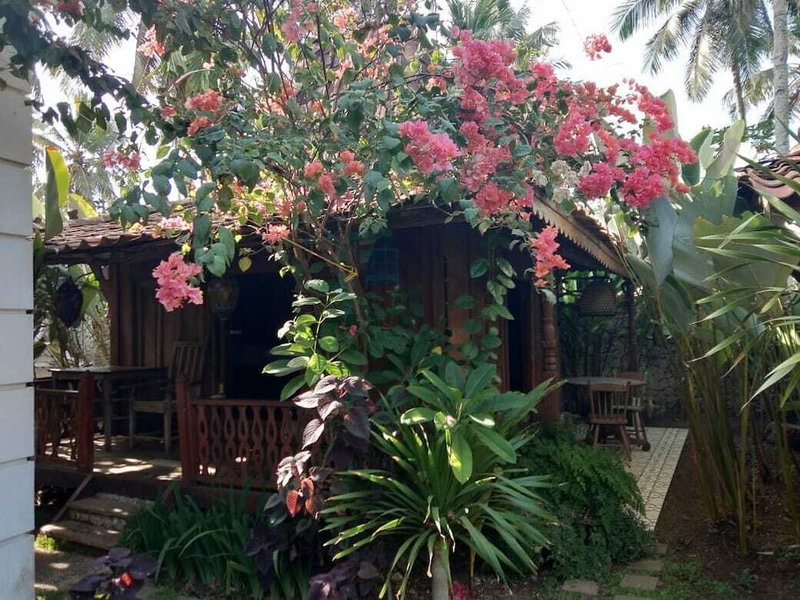 The Ermaja's Pavilion Hotel, Cijulang, Indonesia