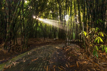 Keliki Luxury Lodge, Ubud, Indonesia