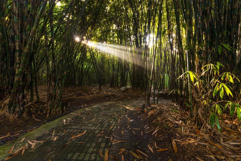 Keliki Luxury Lodge, Ubud, Indonesia