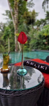 Keliki Luxury Lodge, Ubud, Indonesia