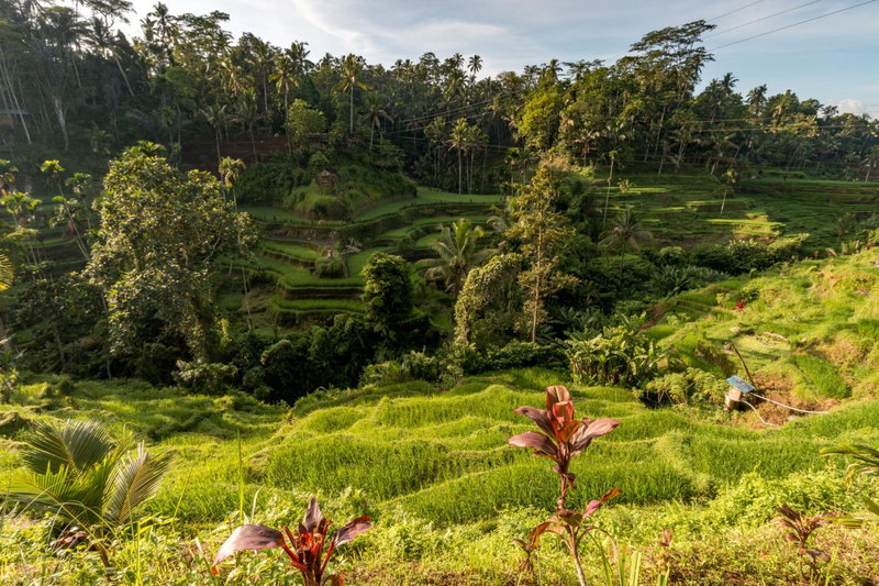Keliki Luxury Lodge, Ubud, Indonesia
