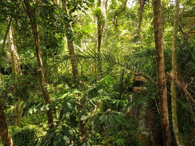 Gunung An Retreat, Ubud, Indonesia