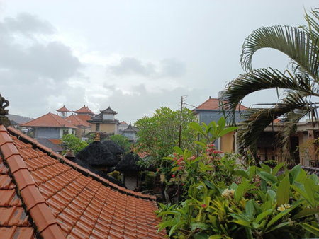 Nyoman House Ubud, Ubud, Indonesia