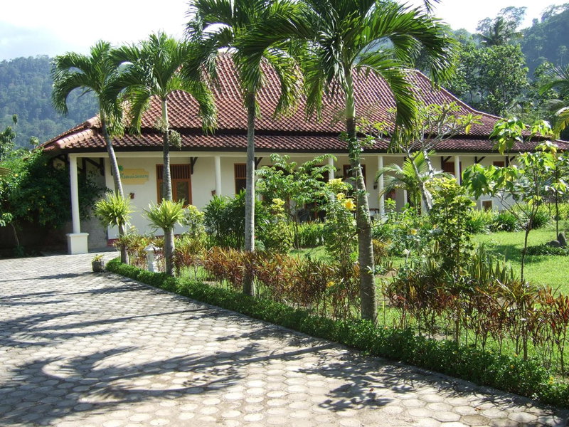 Rumah Senang Guest House, Kalibaru, Indonesia