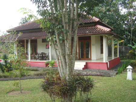 Rumah Senang Guest House, Kalibaru, Indonesia