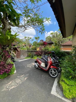 MALINI Homestay, Ubud, Indonesia