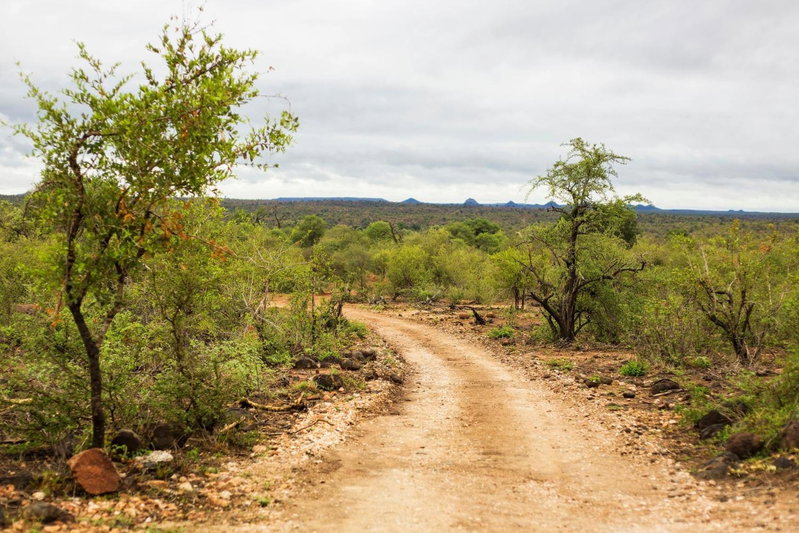 Klaserie Drift Misava, Klaserie Private Nature Reserve, South Africa