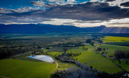 Fraaigelegen Farm - Home of ADHARA EVOO, Tulbagh, South Africa