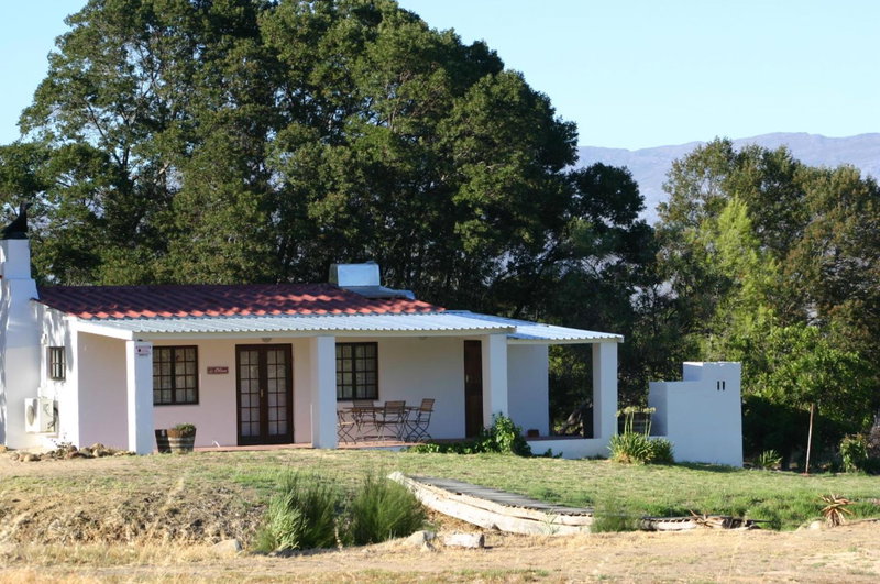 Fraaigelegen Farm - Home of ADHARA EVOO, Tulbagh, South Africa