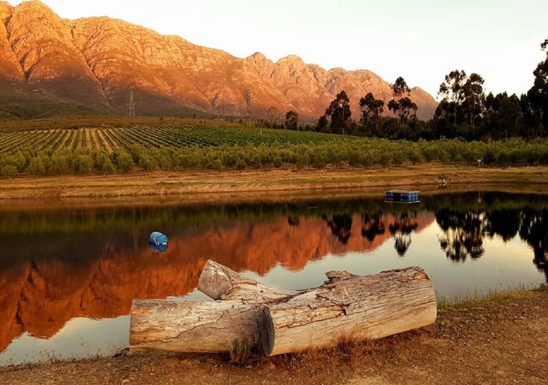 Fraaigelegen Farm - Home of ADHARA EVOO, Tulbagh, South Africa