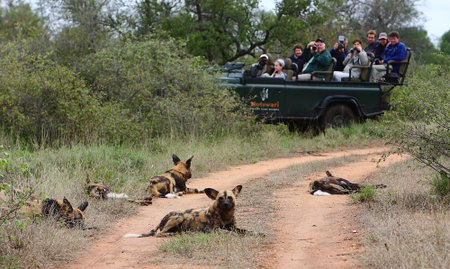 Geiger's Camp, Bushbuckridge, South Africa
