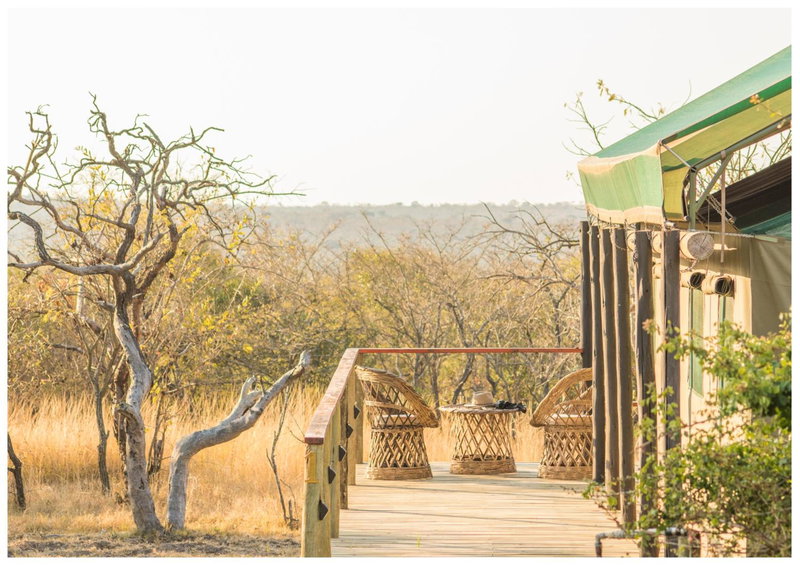 Timbavati Safari Lodge, Mbabat, South Africa