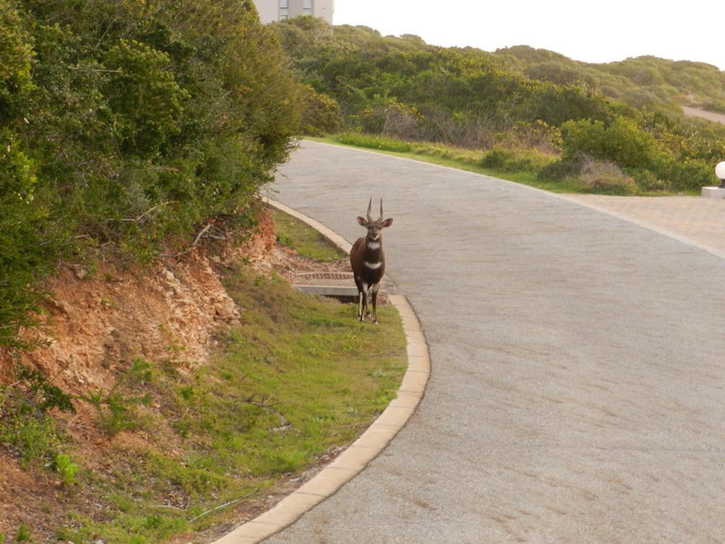 Lodge 90 - Pinnacle Point Estate, Mossel Bay, South Africa